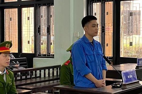 Người đàn ông giấu ma túy trong túi mật ong nghệ đen lĩnh án 16 năm tù
