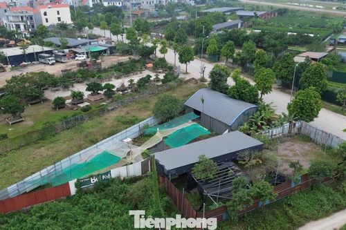 Hà Nội: Một xã có hơn 300 trường hợp vi phạm đất đai, trật tự xây dựng
