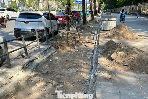 Hà Nội: 'Khoét' vỉa hè lát đá tự nhiên để lấy chỗ trồng cây hoa, thảm cỏ