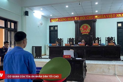 Mua gần nửa ký ma túy về sử dụng, lĩnh 16 năm tù