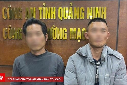 Triệt xóa nhóm trộm cắp và tiêu thụ tài sản liên tỉnh