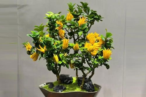 Vì sao Phật thủ được chuộng trong phong thủy Á Đông?