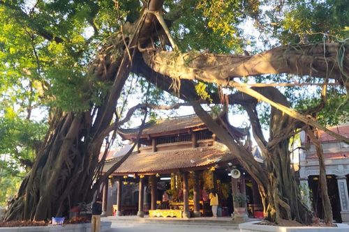 Hành trình tâm linh trong lòng Phố Hiến