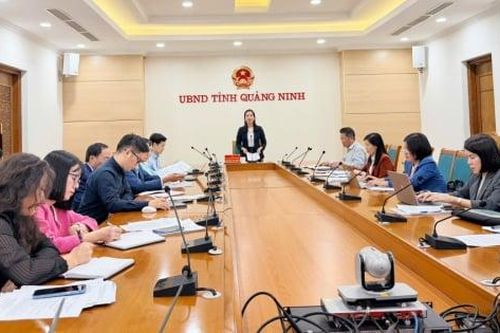 Quảng Ninh thành lập Trung tâm Hỗ trợ phát triển giáo dục hòa nhập công lập