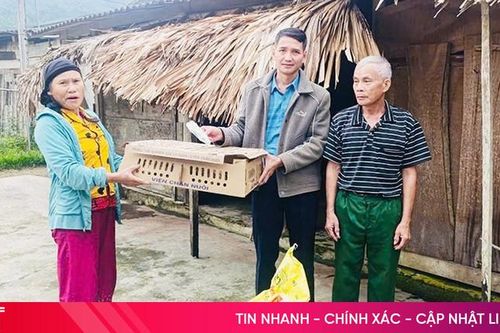 Xã Sơn Hồng chăm lo đời sống, hỗ trợ sinh kế cho hộ nghèo