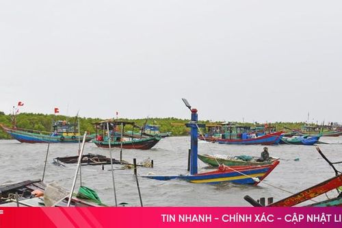 Tàu thuyền hư hỏng 'bủa vây' khu neo đậu: Cần giải pháp xử lý dứt điểm!