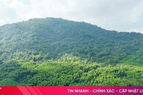 Vi phạm trong lĩnh vực đất đai, 1 trường hợp bị xử phạt 45 triệu đồng