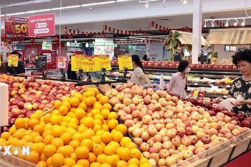 OECD: Kinh tế Việt Nam tiếp tục giữ vững đà phục hồi trong giai đoạn 2026-2027