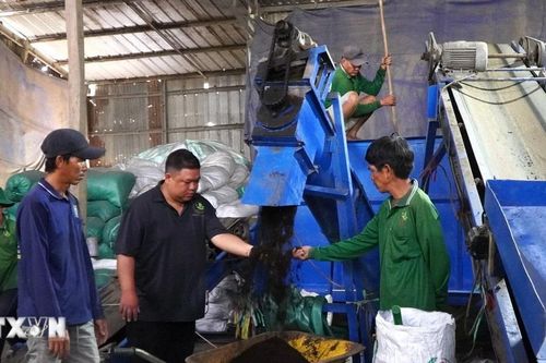 Đồng Tháp: Biến rơm thành tiền, nâng giá trị kinh tế của phụ phẩm nông nghiệp