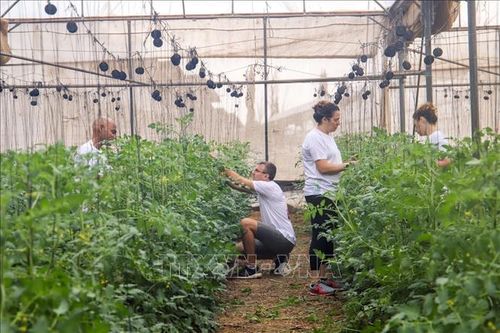 Israel và Mỹ ký thỏa thuận nông nghiệp lịch sử