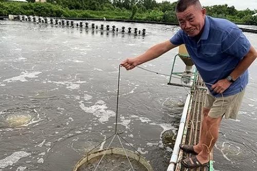 Cà Mau ước đạt 'về đích' tăng trưởng kinh tế 8%