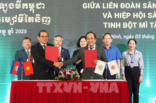 Tây Ninh và Campuchia kết nối hợp tác phát triển ngành sắn