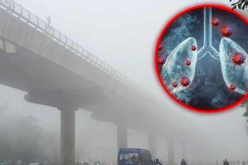Giải mã ô nhiễm bụi mịn 'mù sương' gây tổn thương phổi, gia tăng ung thư