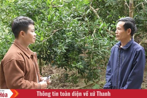 Chuyện về người đưa cây mắc ca về Thiên Phủ
