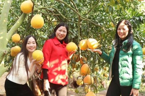 Bắc Ninh đón khoảng 6,3 triệu lượt khách du lịch