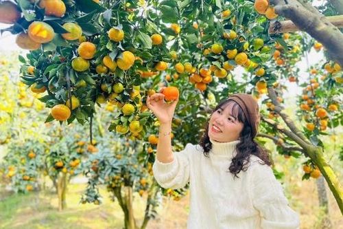 Thúc đẩy liên kết du lịch - thương mại giữa Bắc Ninh và Nam Ninh