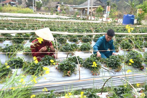 Thanh niên vùng cao trong thời kỳ hội nhập
