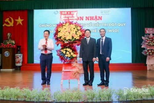 Mạng lưới điều trị đột quỵ đạt chuẩn của Đồng Nai nằm trong top đầu các tỉnh, thành