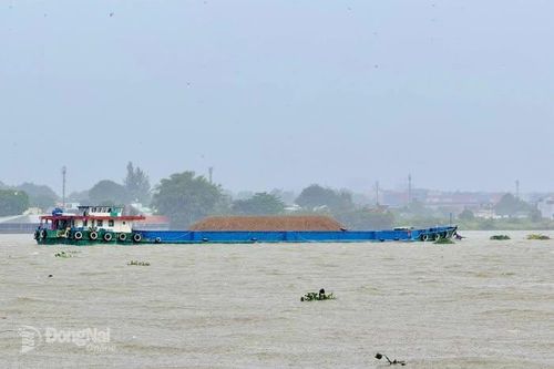 Cảnh báo lũ, triều cường ở hạ lưu sông Đồng Nai