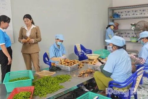Ngọt ngào bánh cốm, kẹo dừa truyền thống