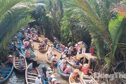Về Đồng Tháp trải nghiệm du lịch miệt vườn