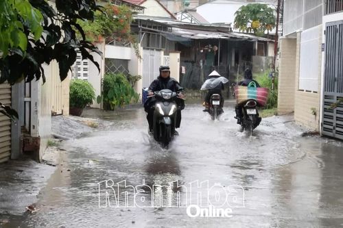 Cảnh báo mưa giông trên địa bàn tỉnh