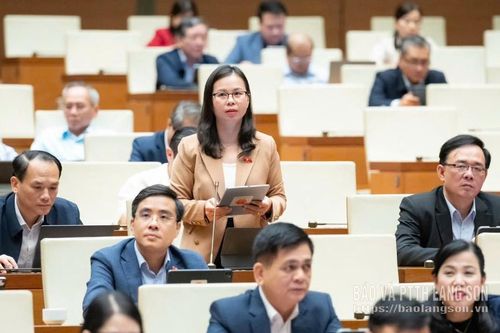 Đại biểu Chu Thị Hồng Thái: Đề nghị làm rõ một số nội dung kinh phí thực hiện Chương trình Mục tiêu quốc gia về giáo dục và đào tạo