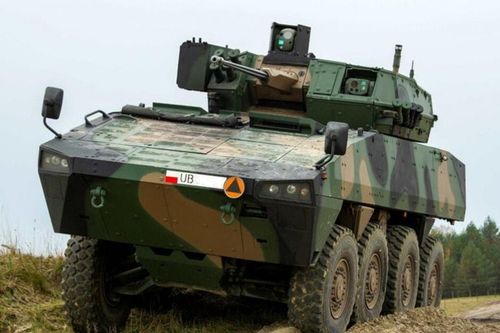 Stryker 'miễn phí' đe dọa kế hoạch Rosomak của Ba Lan