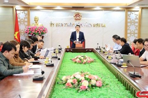 Đẩy nhanh tiến độ triển khai công tác phân định vùng đồng bào dân tộc thiểu số và miền núi giai đoạn 2026 - 2030
