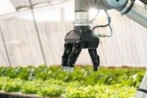 Phấn đấu đến năm 2035, tỷ trọng kinh tế số trong nông nghiệp đạt tối thiểu 20%