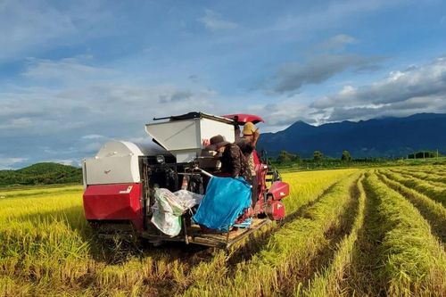 Đắk Lắk: Kinh tế tập thể, hợp tác xã giúp đồng bào dân tộc thiểu số phát triển bền vững