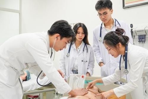 Nâng cao chất lượng đào tạo bác sĩ, cử nhân luật: Siết thế nào cho đúng?