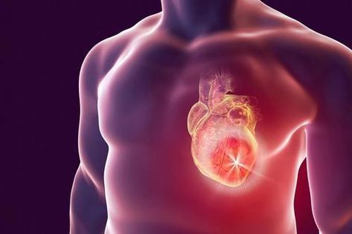 Phát minh miếng dán vi kim chữa lành và phục hồi tim do nhồi máu cơ tim