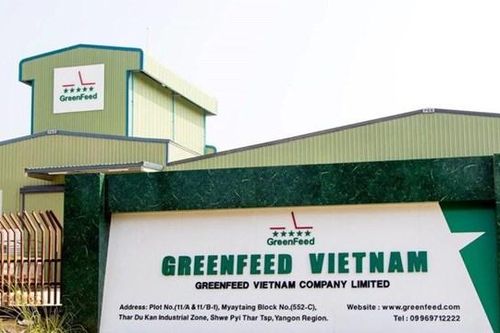 Chủ chuỗi G Kitchen GreenFeed Việt Nam: Lãi bán niên gấp 2,5 lần cùng kỳ, tổng nợ phải trả tăng hơn nghìn tỷ