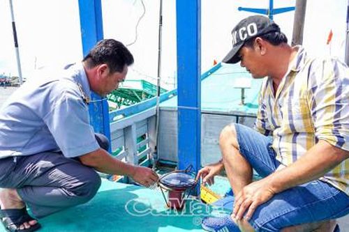 Cà Mau siết chặt quản lý tàu cá qua eCDT