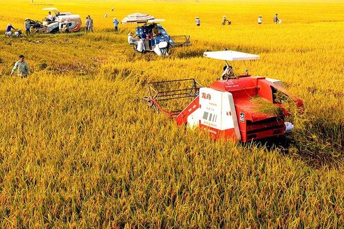Phúc Thịnh xây dựng nền nông nghiệp xanh