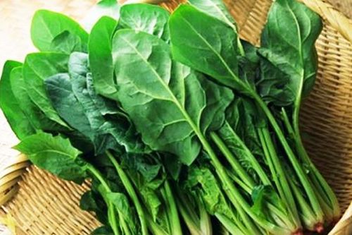Gan nhiễm mỡ: 5 thực phẩm giúp bổ gan, giải độc tự nhiên