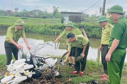Nghệ An đồng loạt truy quét, chặn đứng nạn tận diệt chim hoang dã