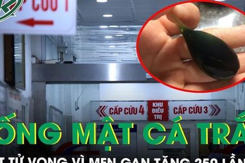 Uống mật cá trắm một phụ nữ suýt tử vong vì men gan tăng 250 lần | SKĐS