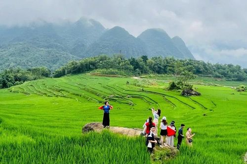 Hoạt động lữ hành phát huy vai trò tiên phong, làm động lực thúc đẩy du lịch