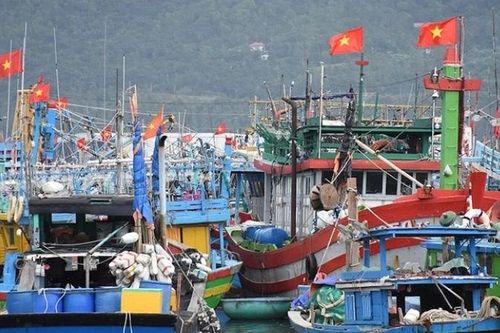 Nhân rộng mô hình tổ đội đánh bắt xa bờ, giúp ngư dân vững vàng giữa trùng khơi
