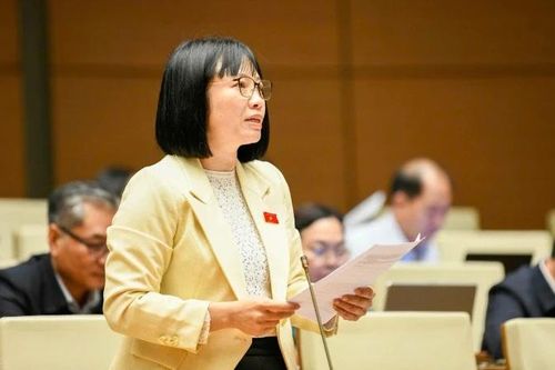 Đại biểu Quốc hội: Chính phủ hành động quyết liệt, để lại nhiều dấu ấn nổi bật