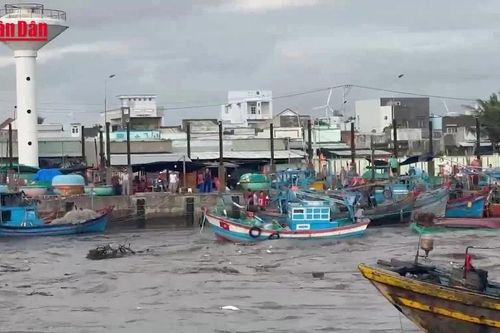 Lũ lớn trên sông Liên Hương, hàng chục phương tiện của ngư dân bị chìm và trôi ra biển