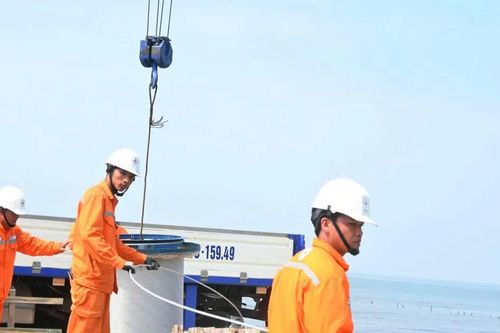 Xác minh nguyên nhân, xử lý vụ đứt cáp ngầm biển