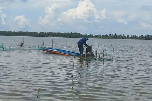 Vùng Đồng Tháp Mười: Hàng ngàn ha lúa chưa thể gieo sạ do lũ rút chậm