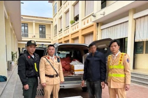 Phát hiện ô tô chở 12 cá thể tê tê trong thùng xốp ở Cao Bằng