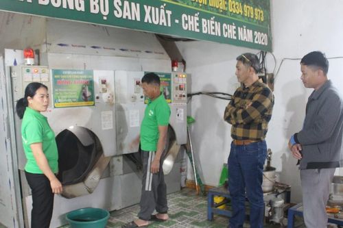 Chè sạch mở lối thoát nghèo