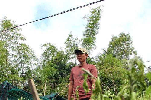 Nông dân Khánh Hòa mất trắng vụ Tết sau mưa lũ lịch sử