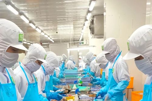 Xoay vốn cho sản xuất