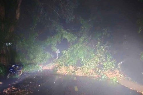 Đèo Gia Bắc ở Lâm Đồng sạt lở nghiêm trọng, 20 ô tô mắc kẹt
